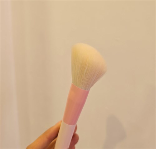 براش رژگونه گونه 