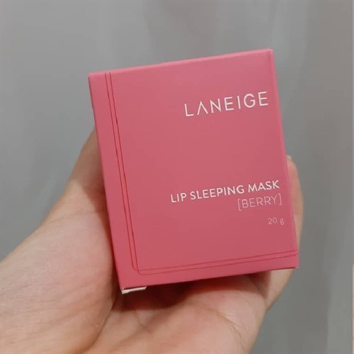 بالم لب لانیژ