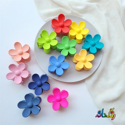 کلیپس گلی رنگی