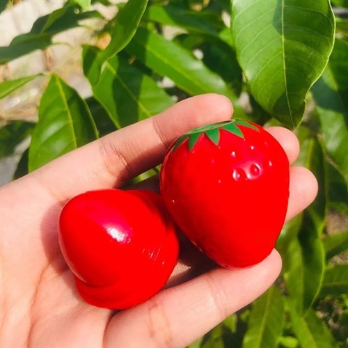 بالم لب رنگدار توت فرنگی 