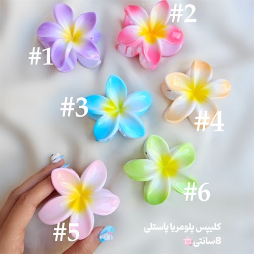 کلیپس پلومریا پاستلی 8سانتی