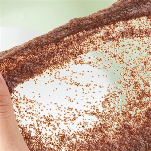 ماسک پودری جلبک دریایی و شیر XCEO 