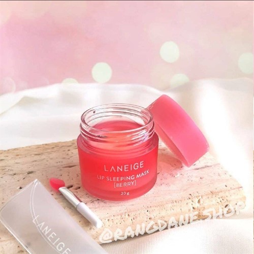 بالم لب لانیژ