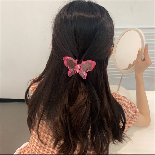 کلیپس شیشه ای پروانه