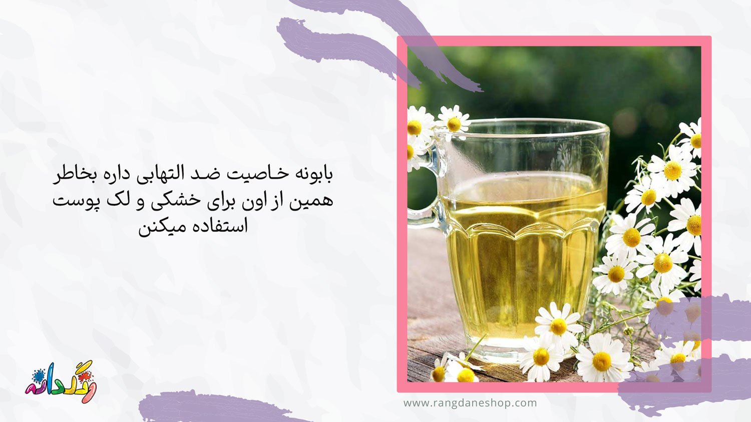 بابونه یکی از درمانهای خشکی پوست در طب سنتی
